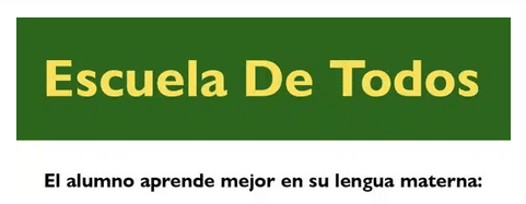 cartel ventajas estudiar en lengua materna